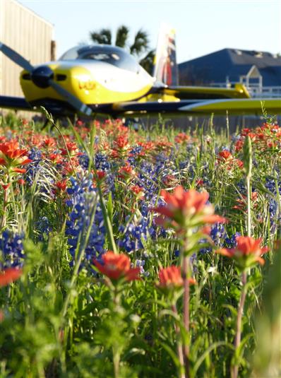 Spring in Texas!